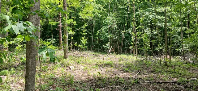 $327,500 | 0 North Pond Road, Salisbury, VT 05769