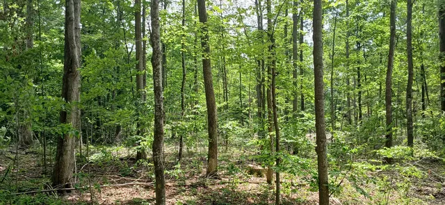 $327,500 | 0 North Pond Road, Salisbury, VT 05769