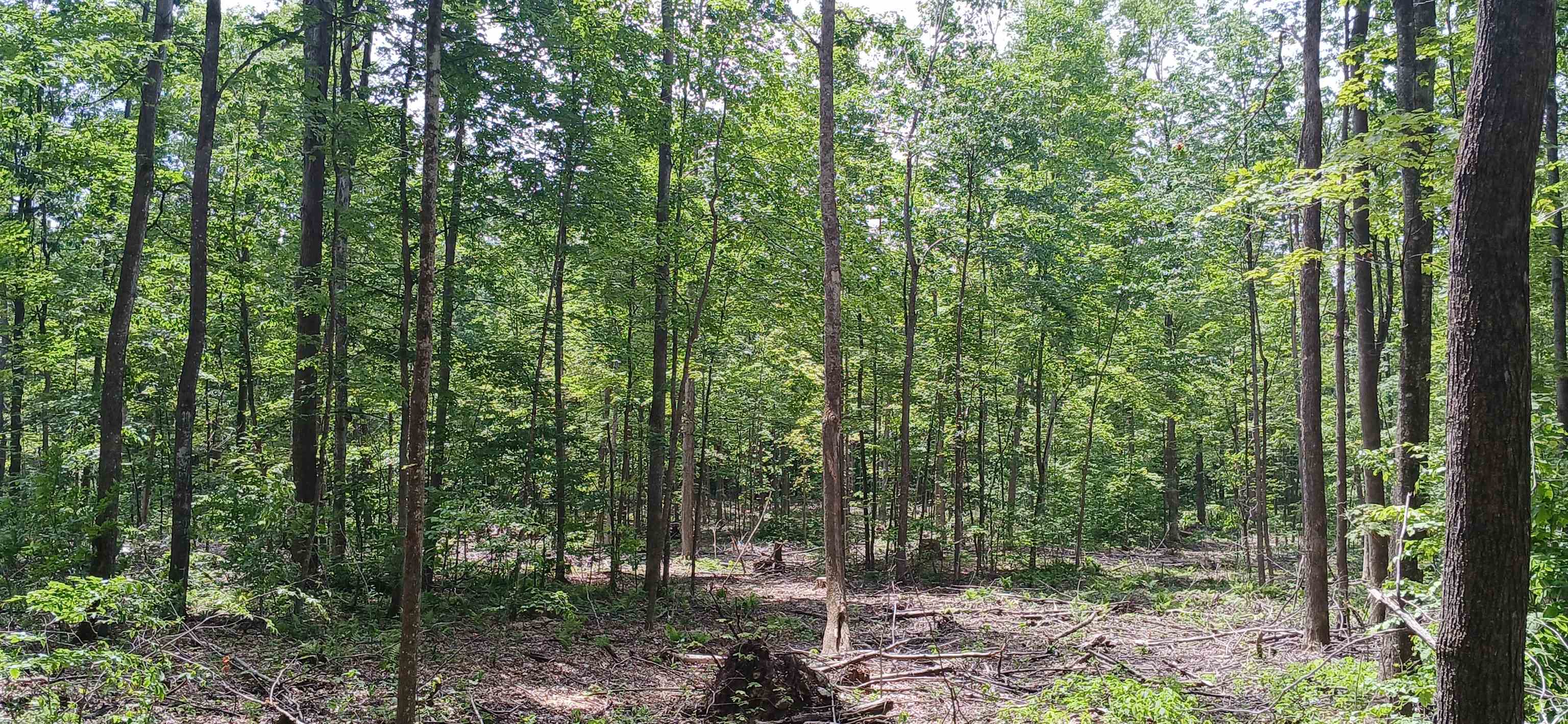 0 North Pond Road Salisbury, VT 05769 - Photo 25 of 31