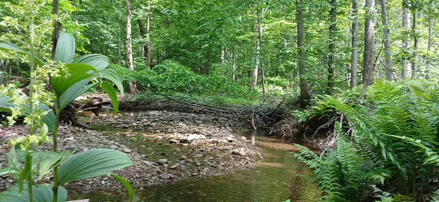 $327,500 | 0 North Pond Road, Salisbury, VT 05769