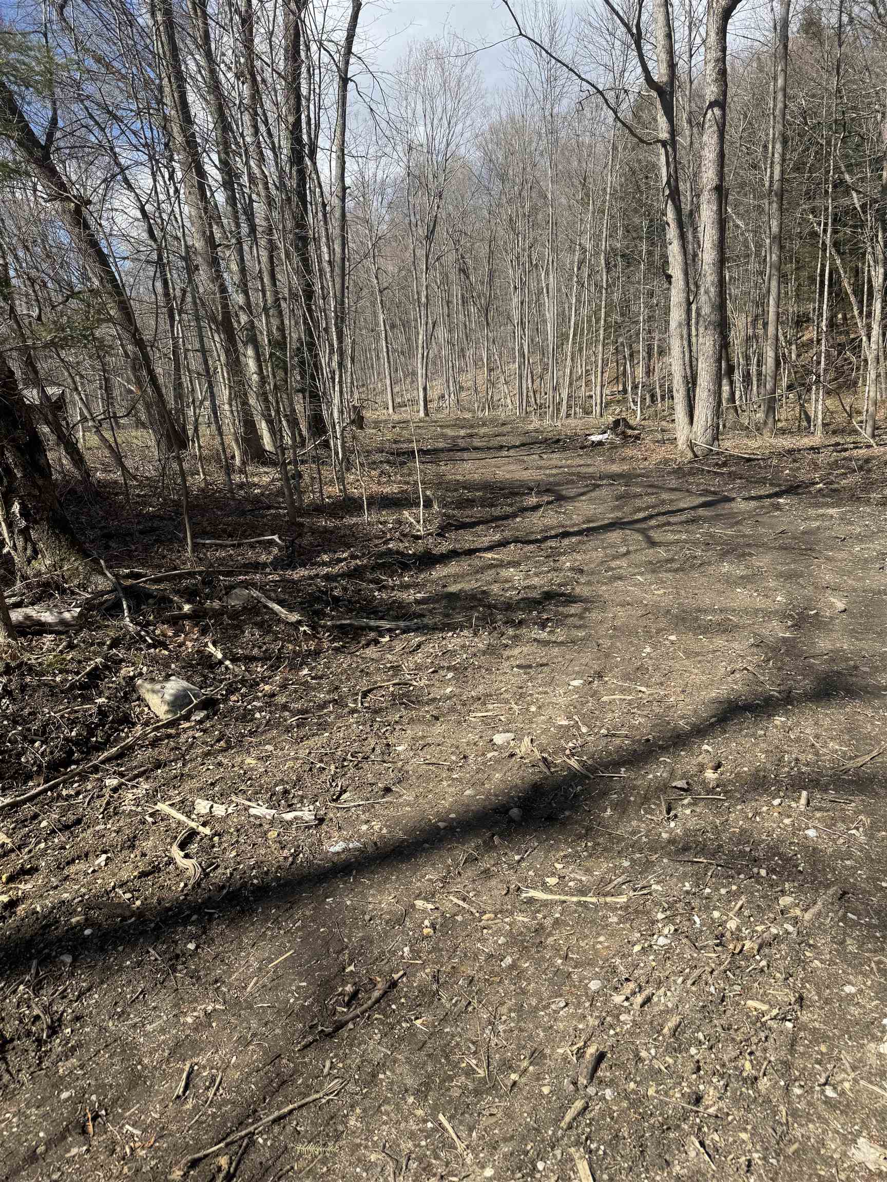 0 North Pond Road Salisbury, VT 05769 - Photo 5 of 31