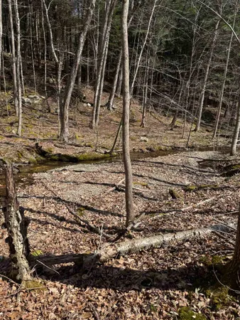 $327,500 | 0 North Pond Road, Salisbury, VT 05769