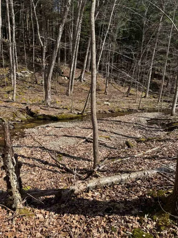 $327,500 | 0 North Pond Road, Salisbury, VT 05769