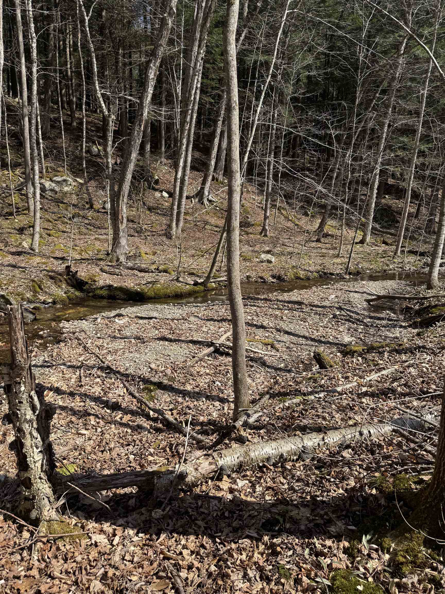 0 North Pond Road Salisbury, VT 05769 - Photo 6 of 31