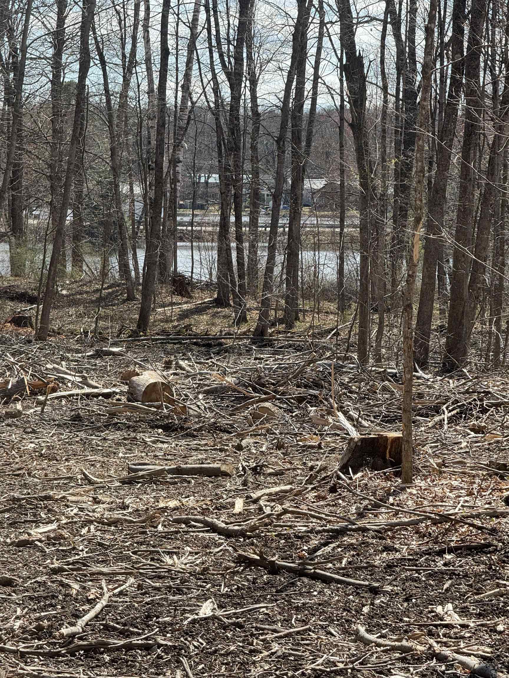 0 North Pond Road Salisbury, VT 05769 - Photo 7 of 31