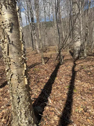 $327,500 | 0 North Pond Road, Salisbury, VT 05769