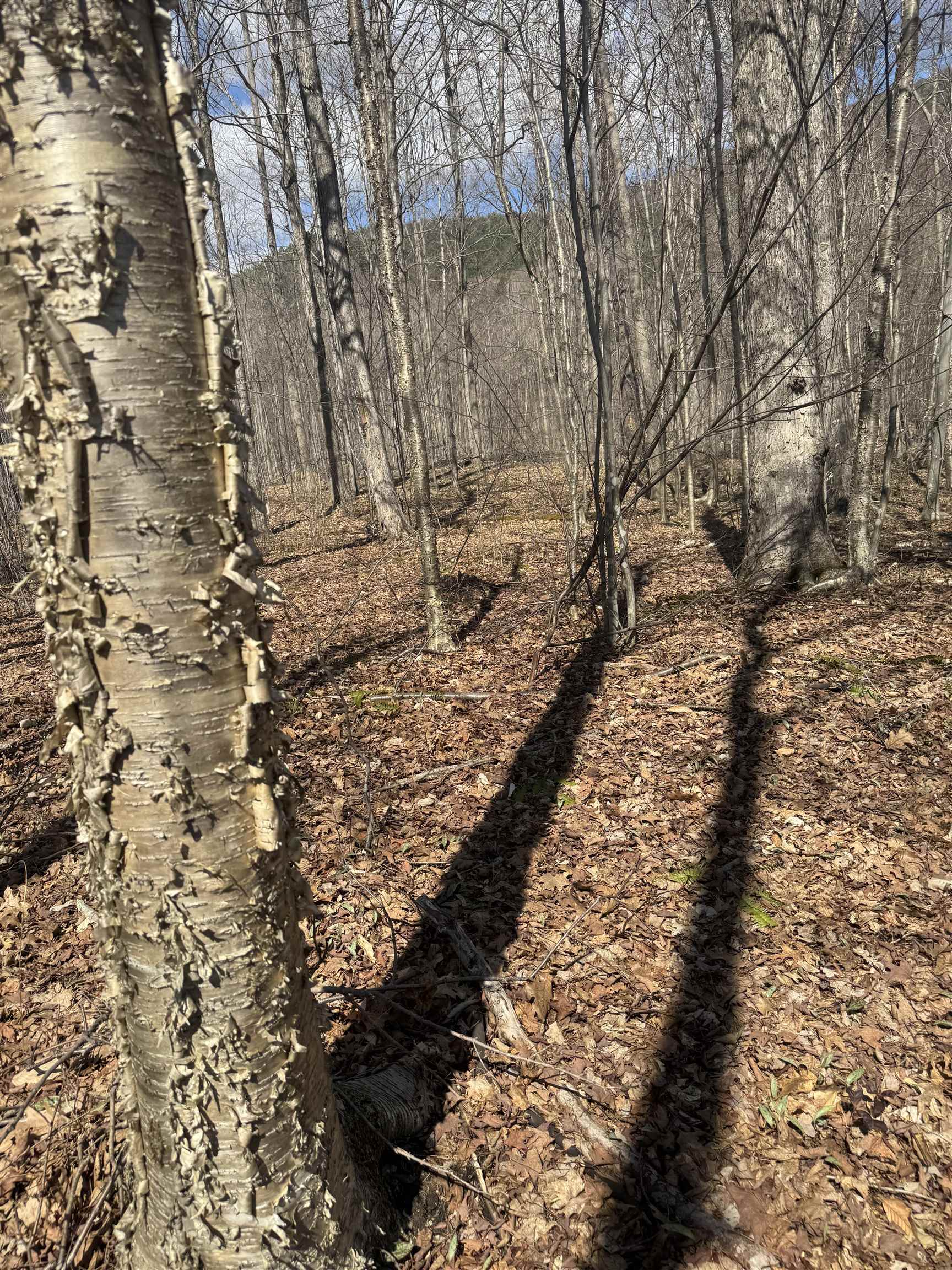 0 North Pond Road Salisbury, VT 05769 - Photo 8 of 31