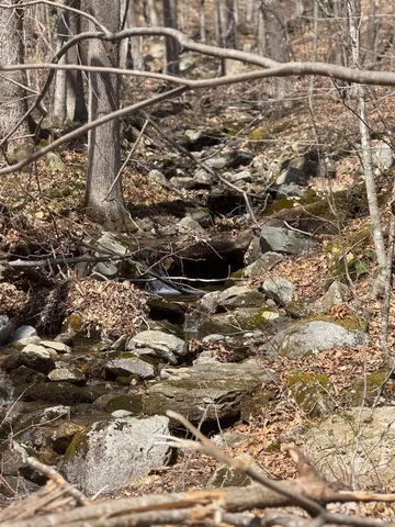 $327,500 | 0 North Pond Road, Salisbury, VT 05769