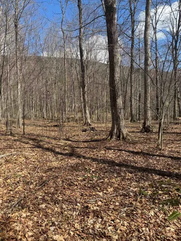 $327,500 | 0 North Pond Road, Salisbury, VT 05769