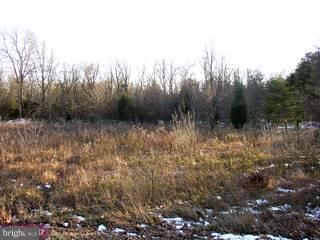 L-17.02 Upper Neck Road Pittsgrove, NJ 08318 - Photo 1 of 2 Gallery Image 1