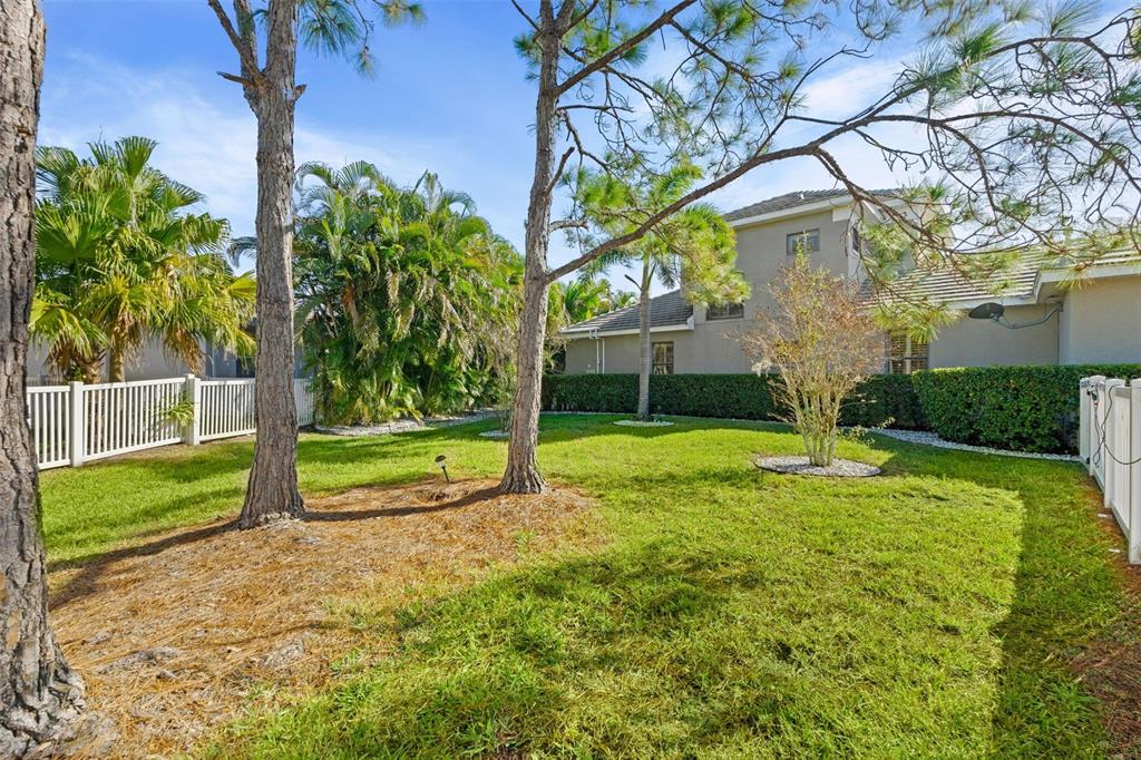 6470 Indigo Bunting Place Lakewood Ranch, FL 34202 - Photo 56 of 65 a view of a house with backyard and a tree