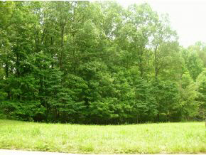 4888 East Lentz Road Bloomington, IN 47408 - Photo 1 of 5 Gallery Image 1