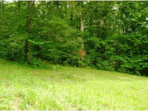 4888 East Lentz Road Bloomington, IN 47408 - Photo 5 of 5 Gallery Image 5