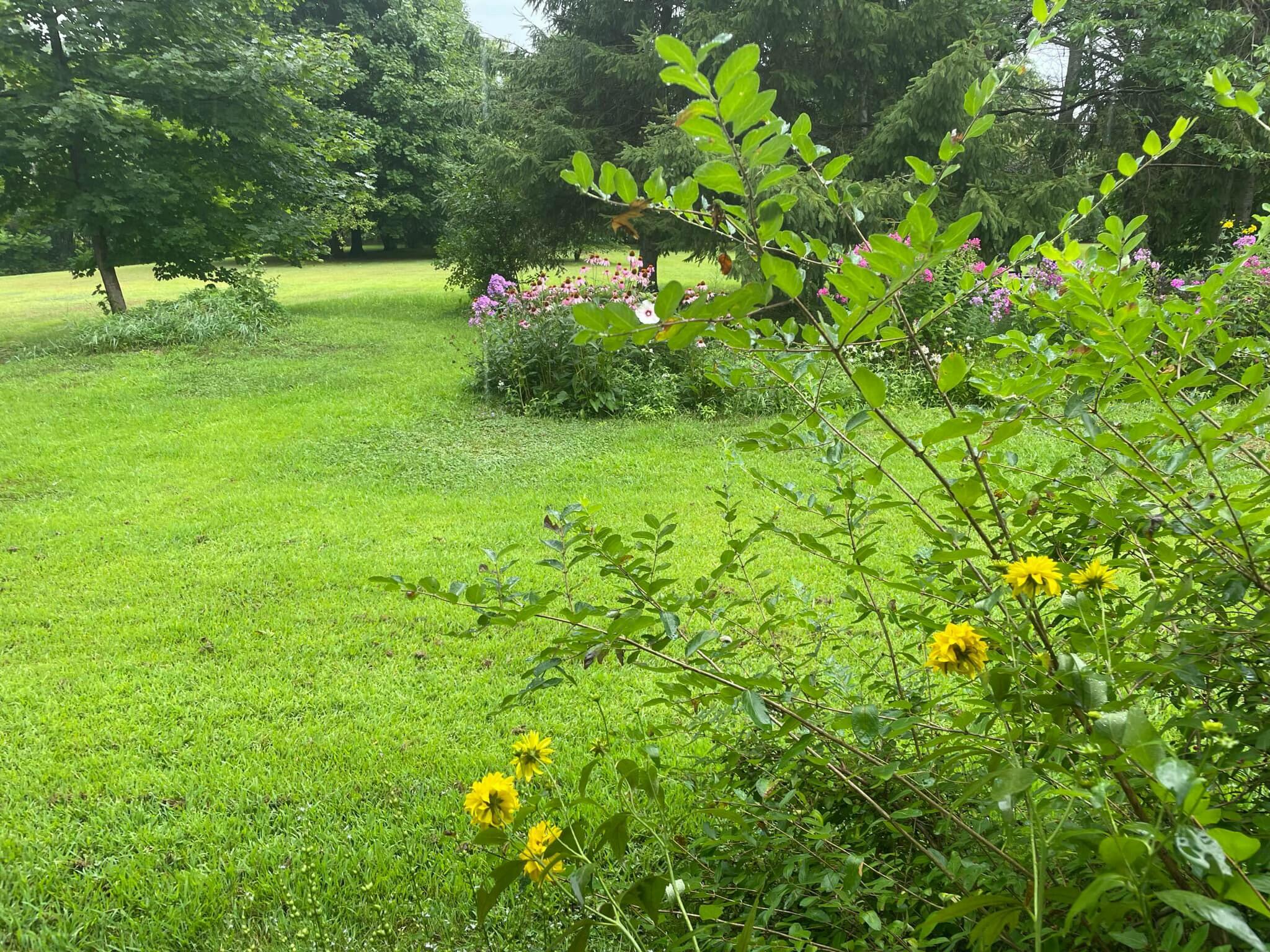 133 Cemetery Road Monmouth, ME 04259 - Photo 58 of 58 tempImageKIDVGY