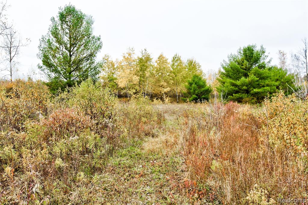 1765 Allen Road Smiths Creek, MI 48074 - Photo 25 of 25 Gallery Image 25