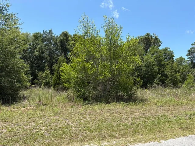 $12,500 | 6642 North Flower Terrace, Hernando, FL 34442