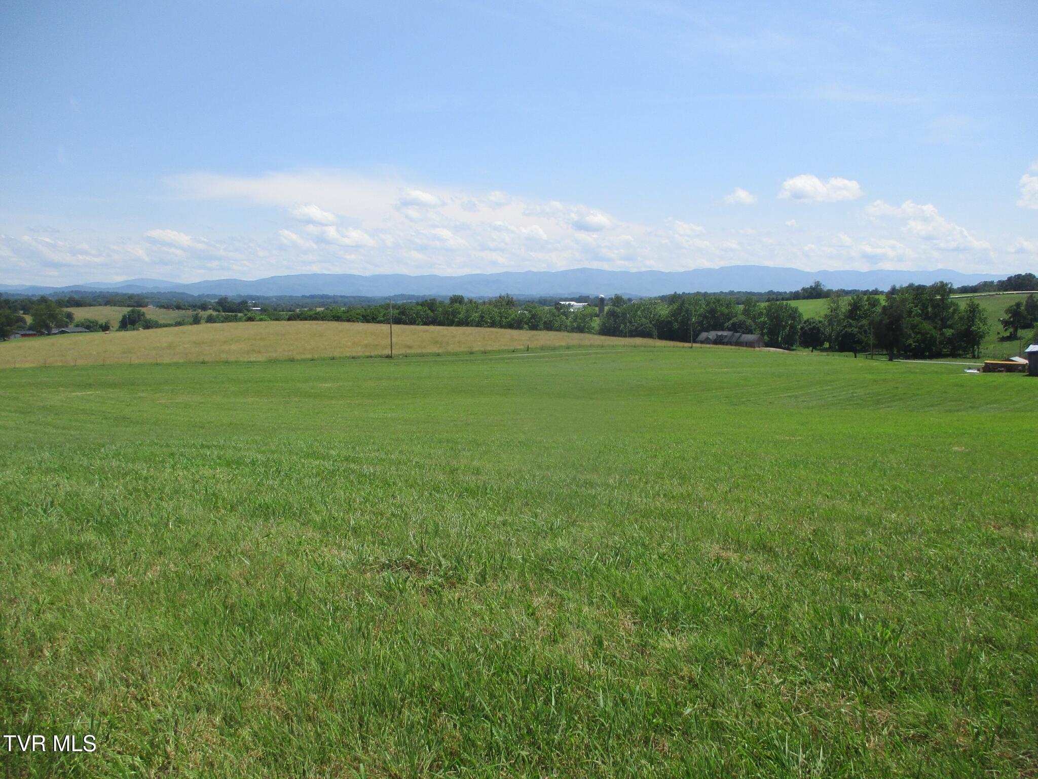 196 Providence Road Telford, TN 37690 - Photo 16 of 53 02 IMG_7619