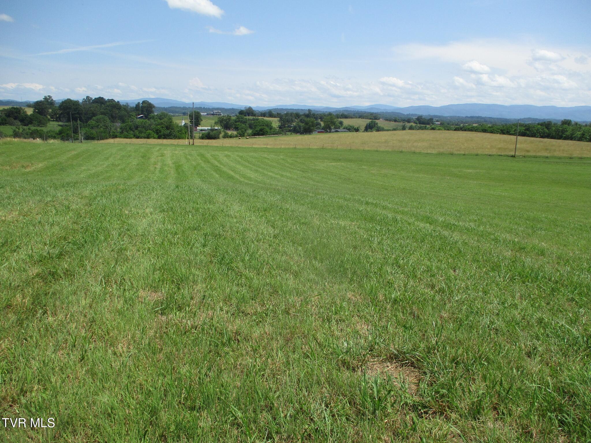 196 Providence Road Telford, TN 37690 - Photo 18 of 53 04 IMG_7621