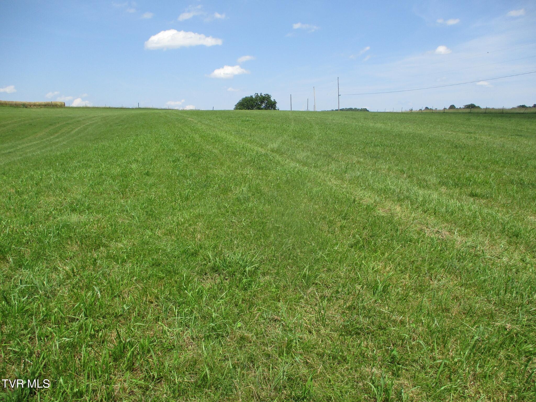196 Providence Road Telford, TN 37690 - Photo 25 of 53 12 IMG_7611