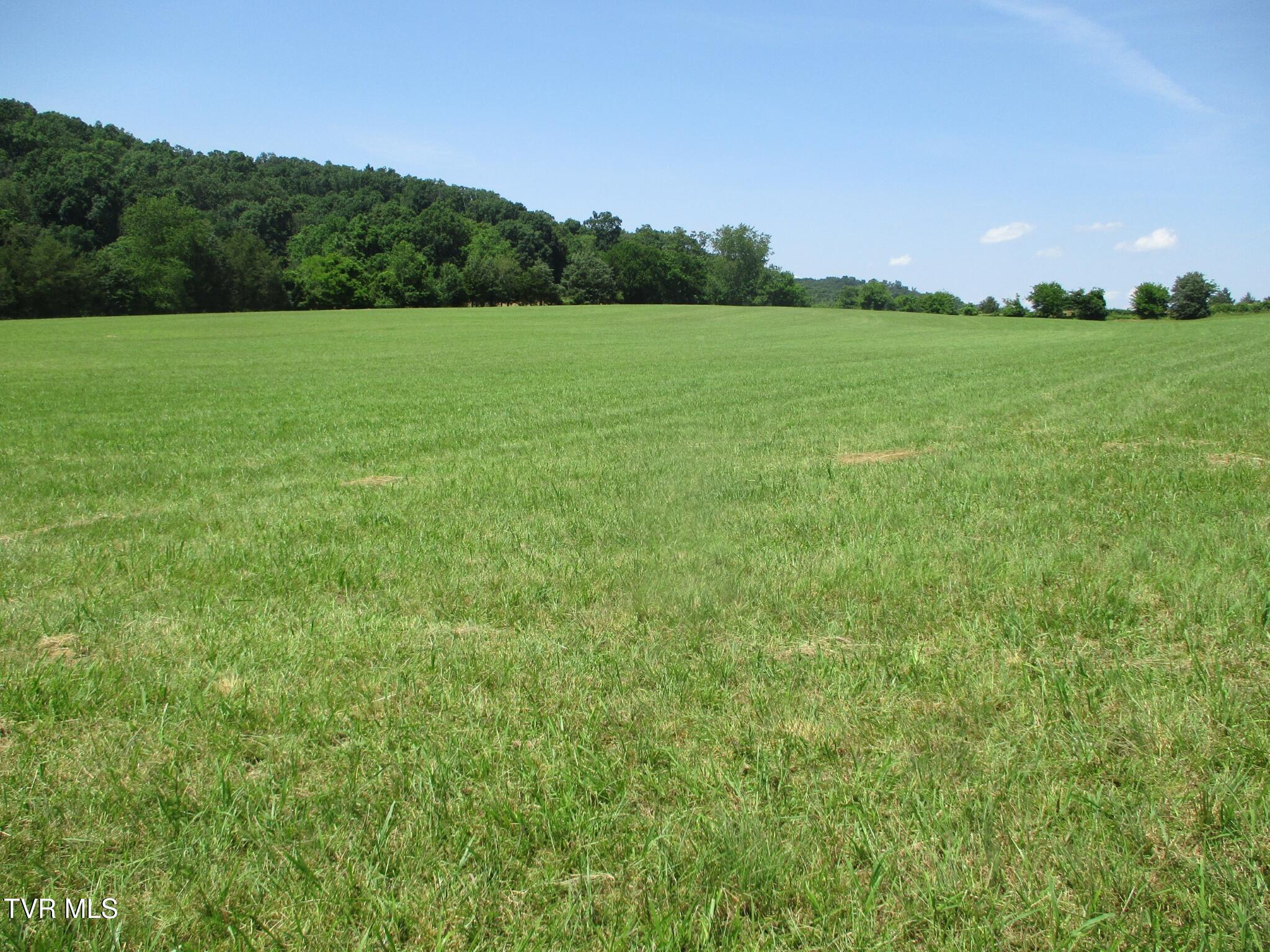 196 Providence Road Telford, TN 37690 - Photo 29 of 53 16 IMG_7636