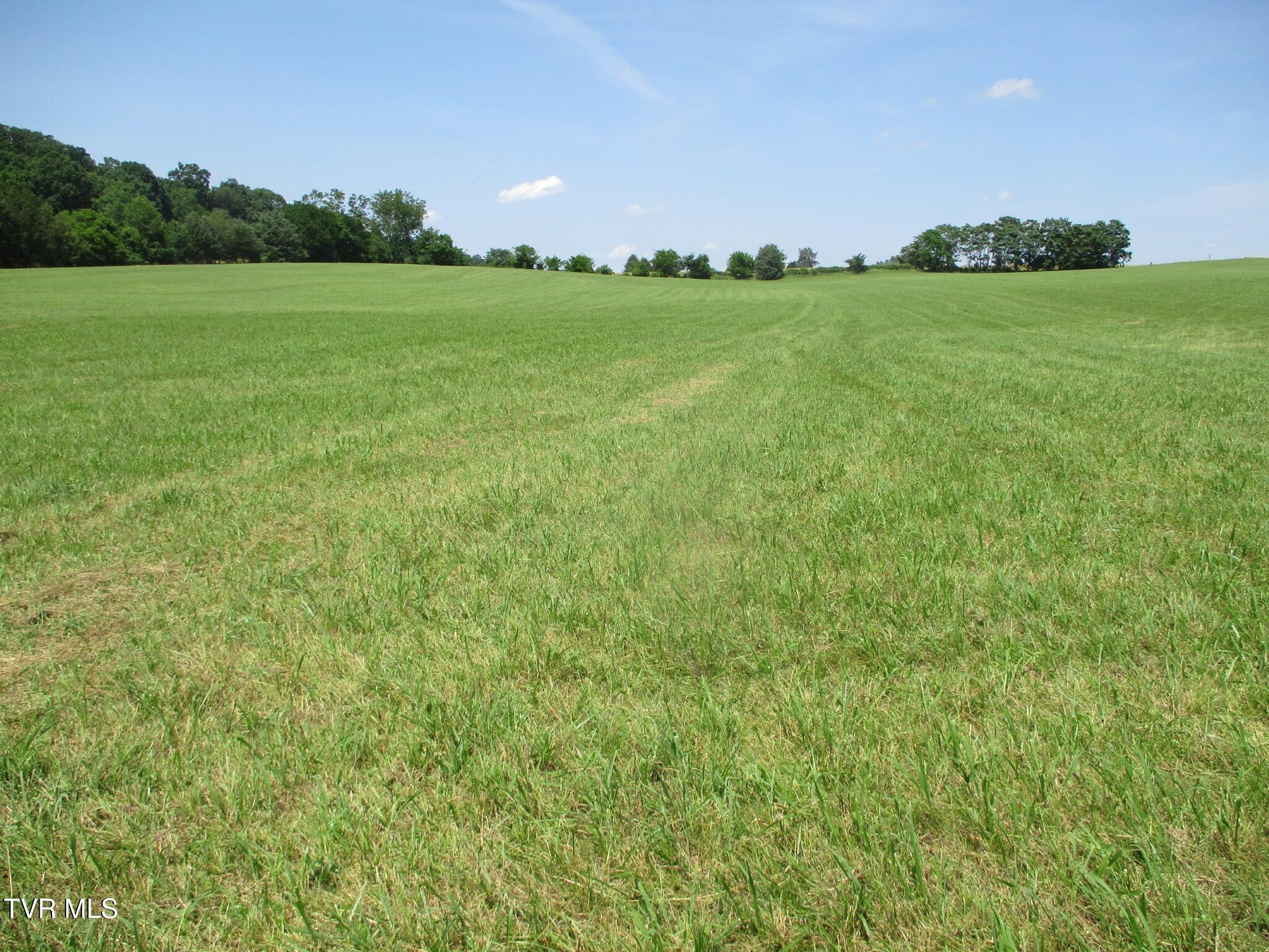 196 Providence Road Telford, TN 37690 - Photo 30 of 53 17 IMG_7639