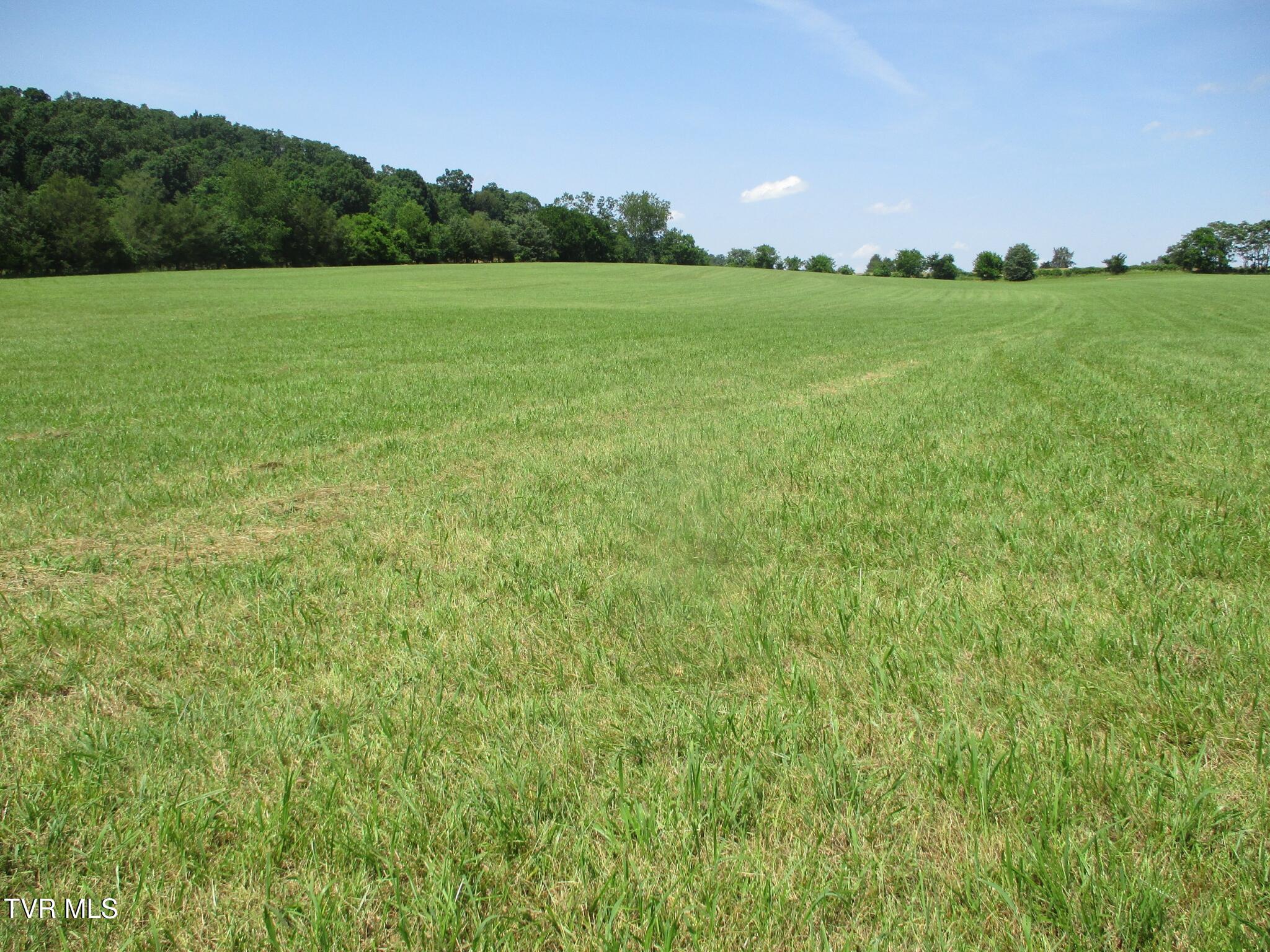 196 Providence Road Telford, TN 37690 - Photo 31 of 53 18 IMG_7638