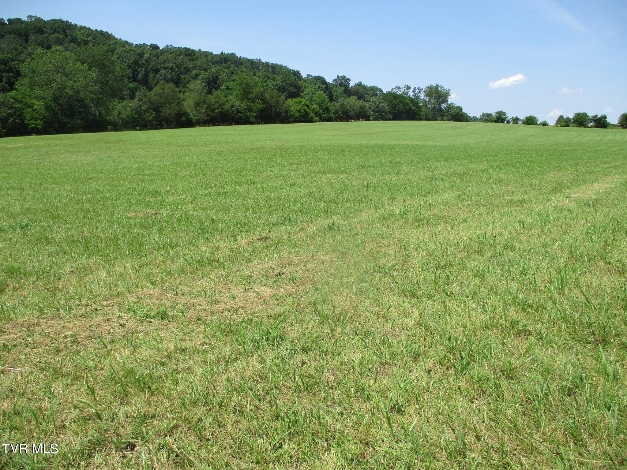 196 Providence Road Telford, TN 37690 - Photo 32 of 53 19 IMG_7640