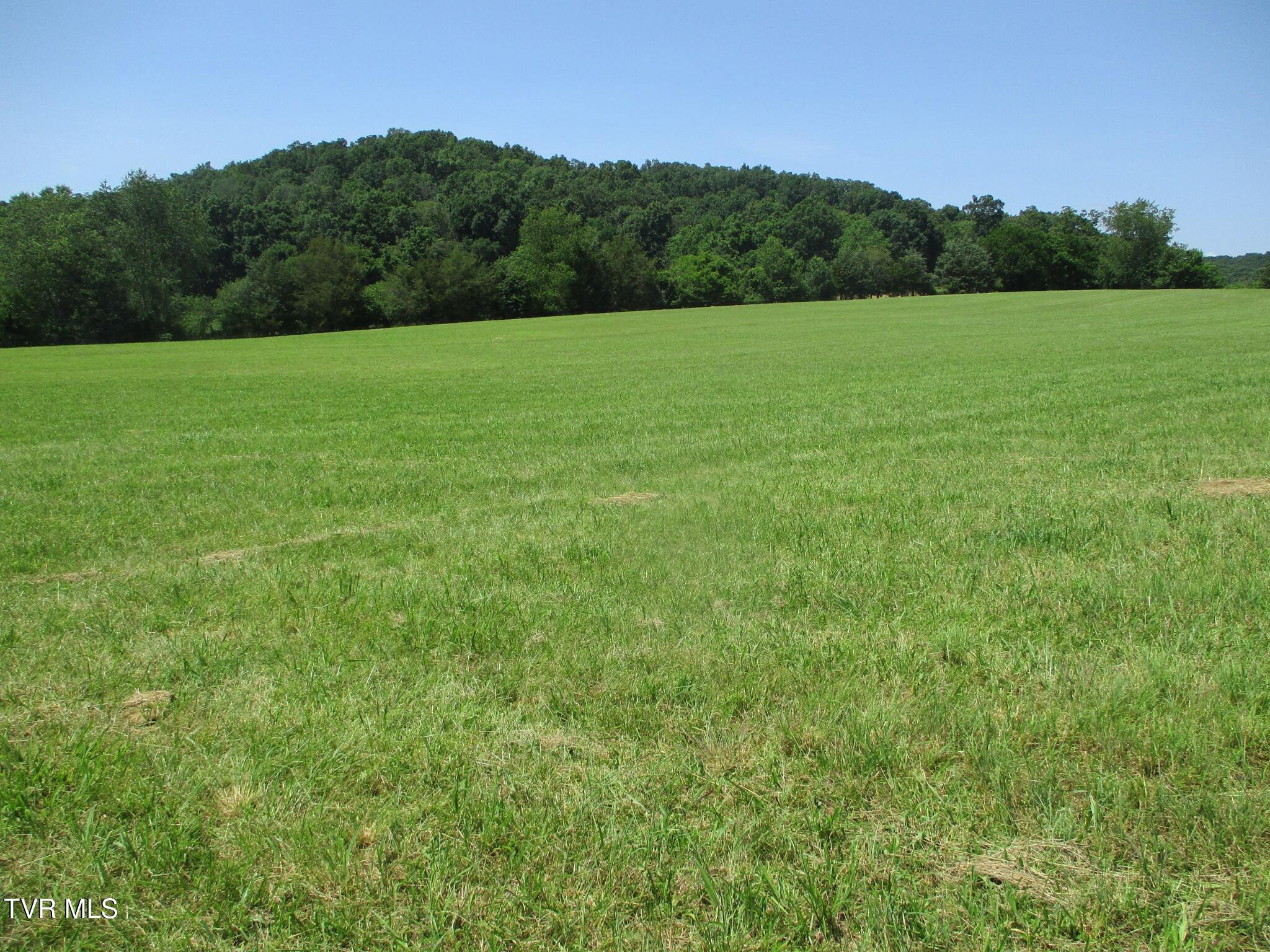 196 Providence Road Telford, TN 37690 - Photo 33 of 53 20 IMG_7637