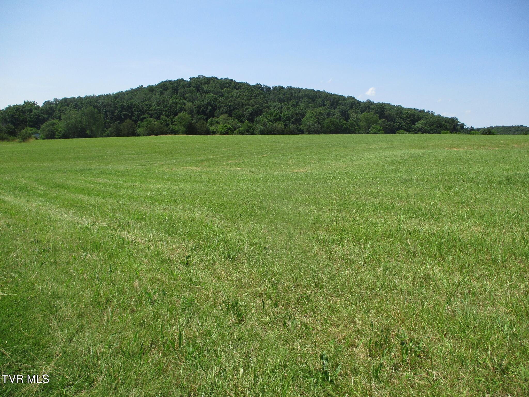 196 Providence Road Telford, TN 37690 - Photo 34 of 53 21 IMG_7664