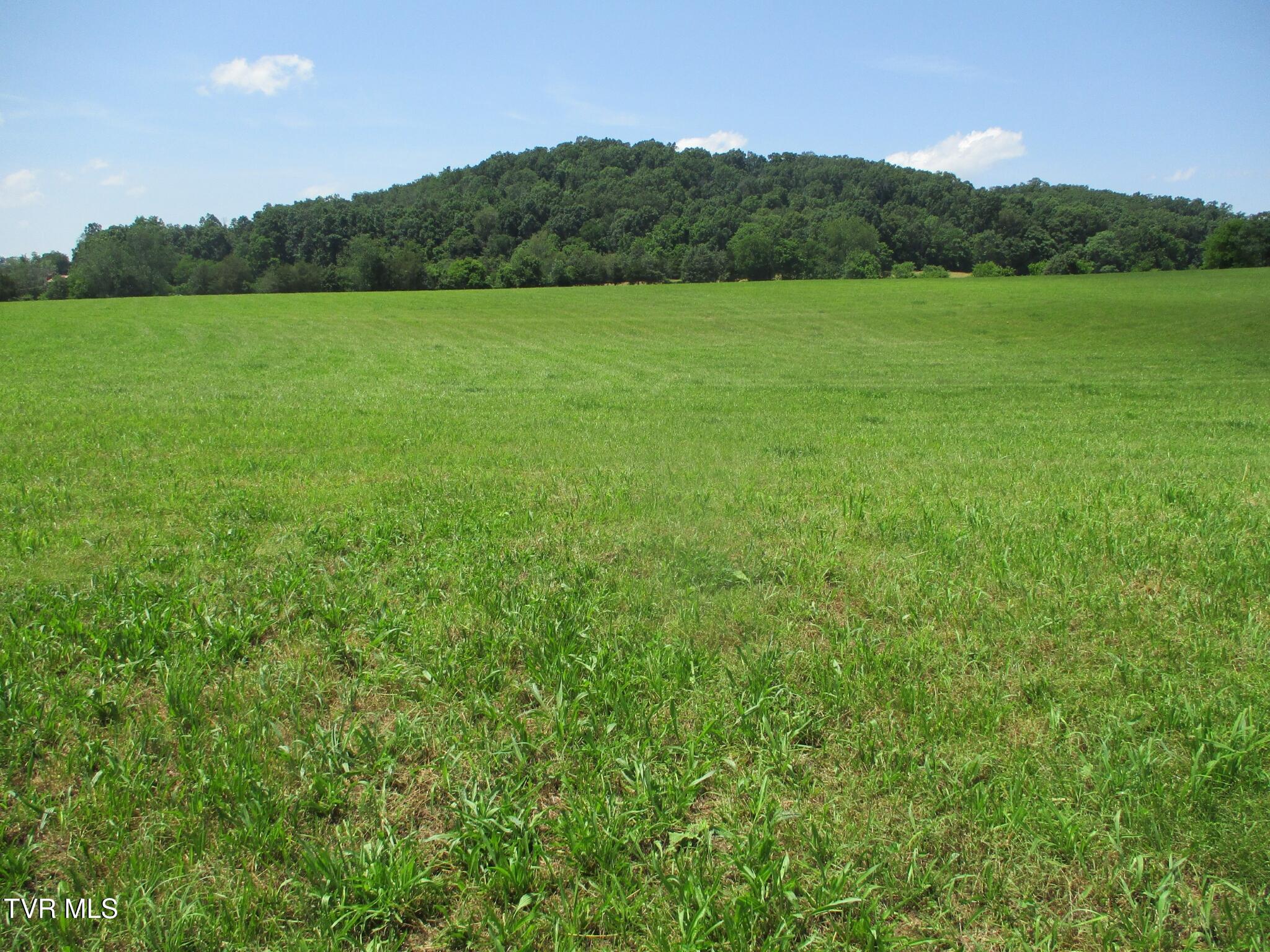 196 Providence Road Telford, TN 37690 - Photo 35 of 53 22 IMG_7609