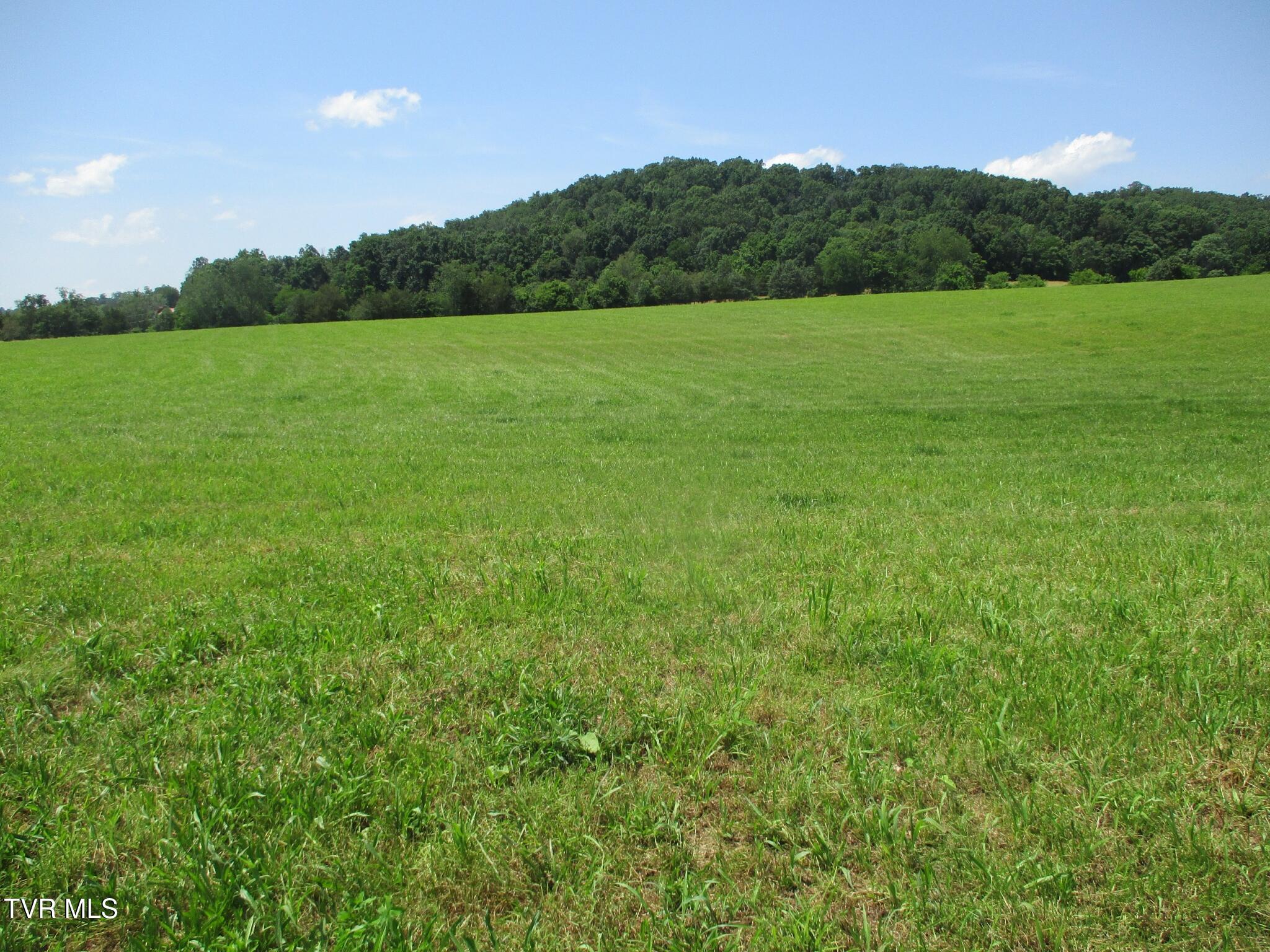 196 Providence Road Telford, TN 37690 - Photo 36 of 53 23 IMG_7610