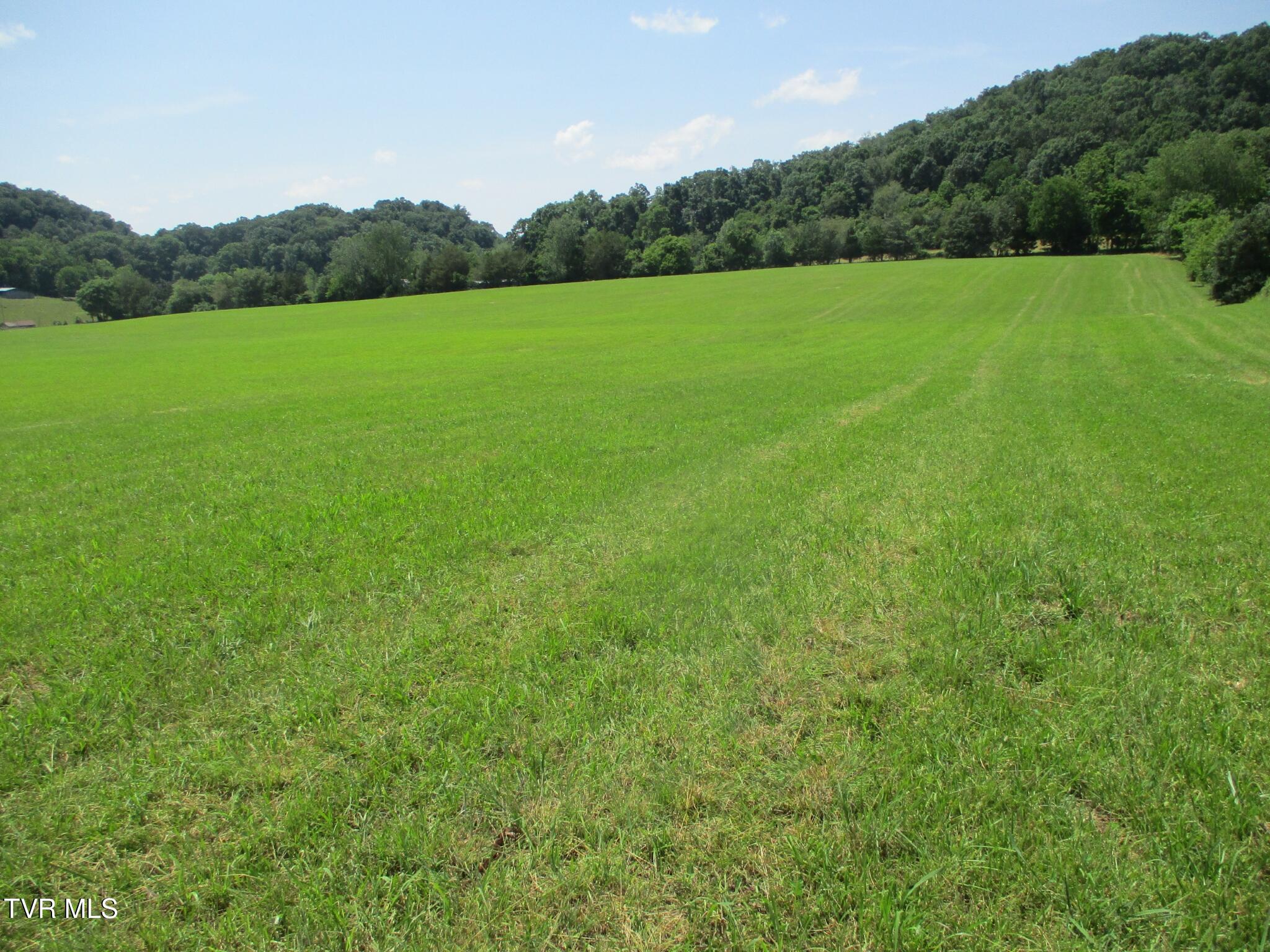 196 Providence Road Telford, TN 37690 - Photo 37 of 53 24 IMG_7613