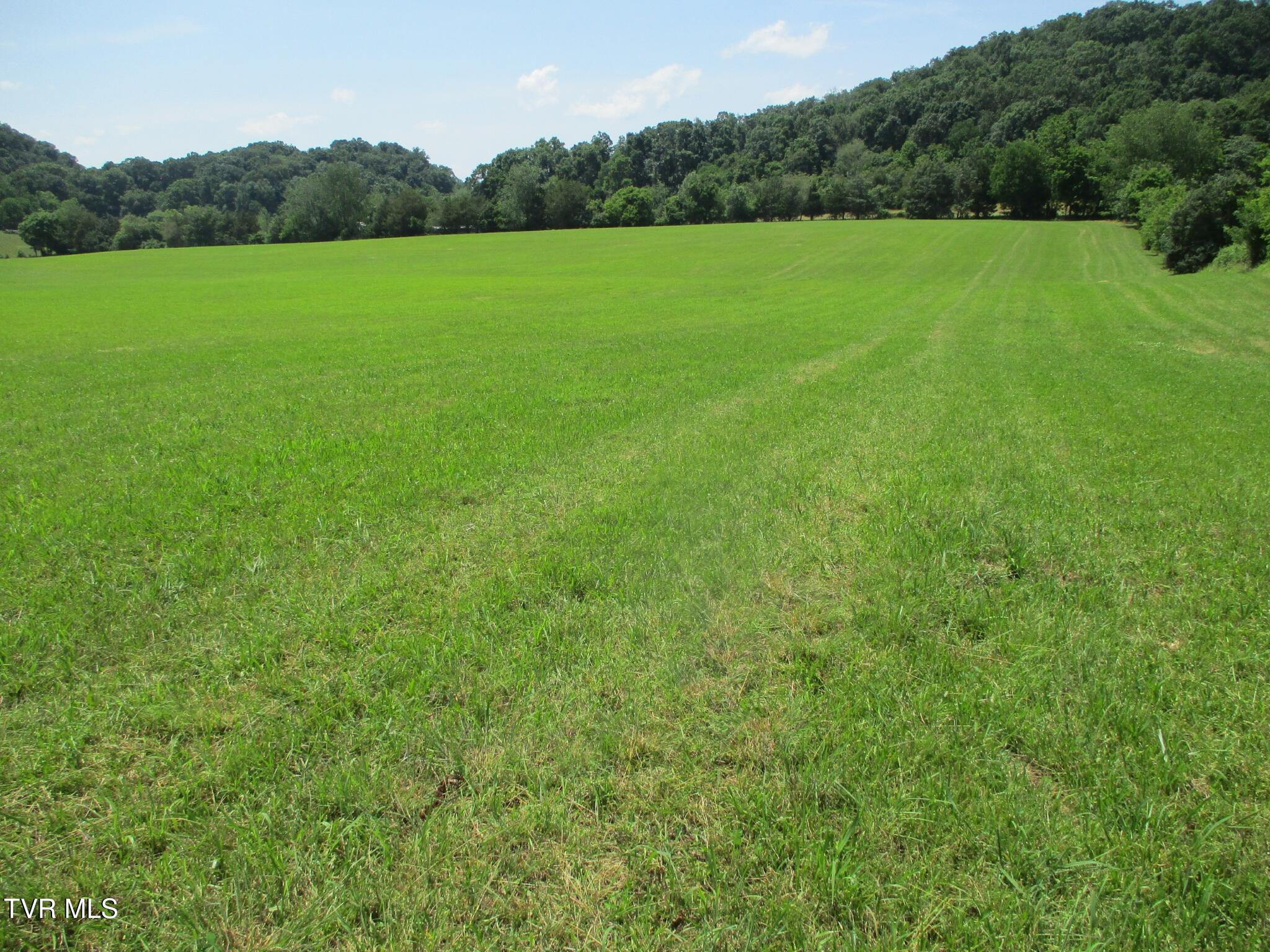 196 Providence Road Telford, TN 37690 - Photo 38 of 53 25 IMG_7614
