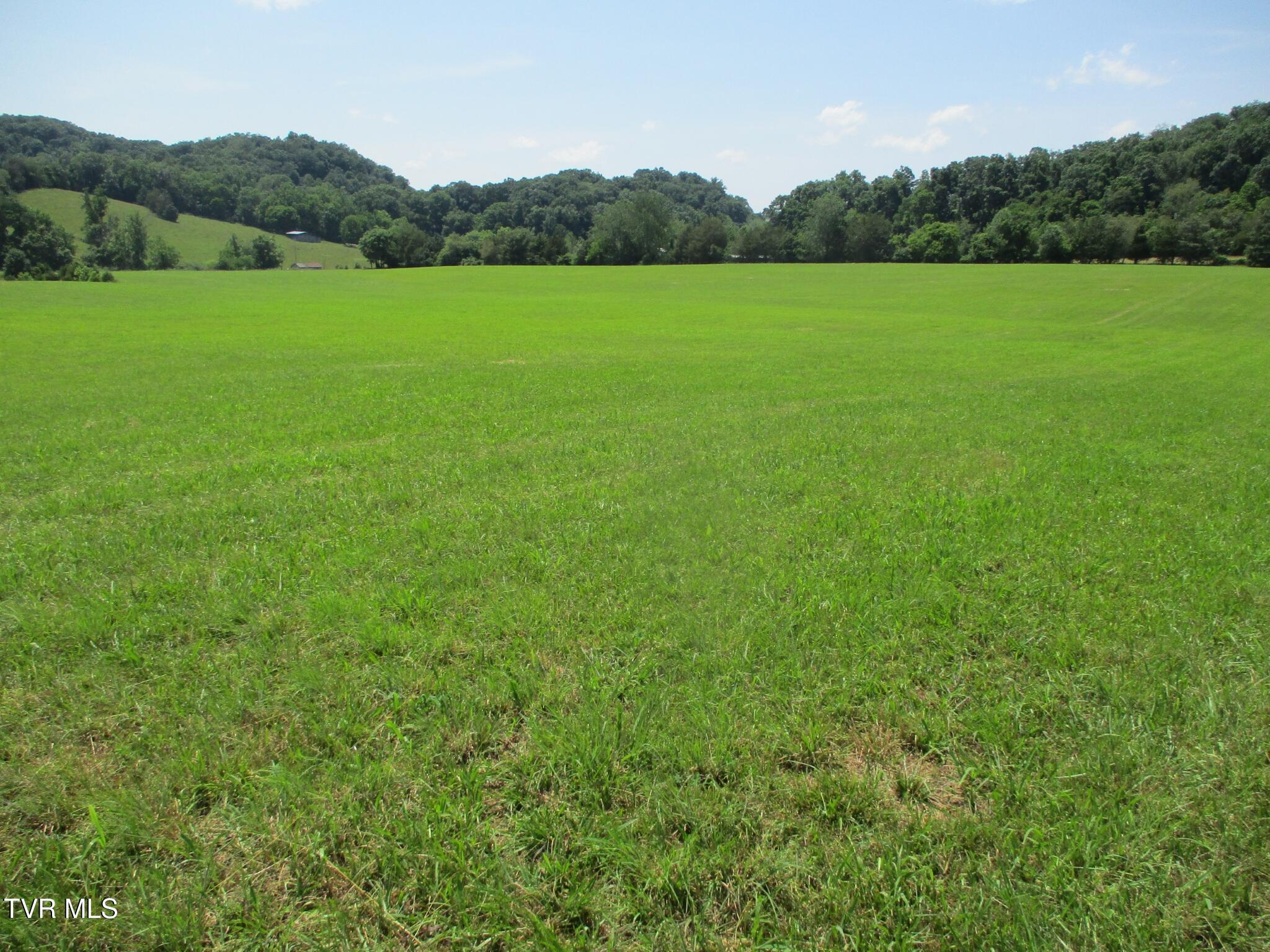 196 Providence Road Telford, TN 37690 - Photo 40 of 53 27 IMG_7622