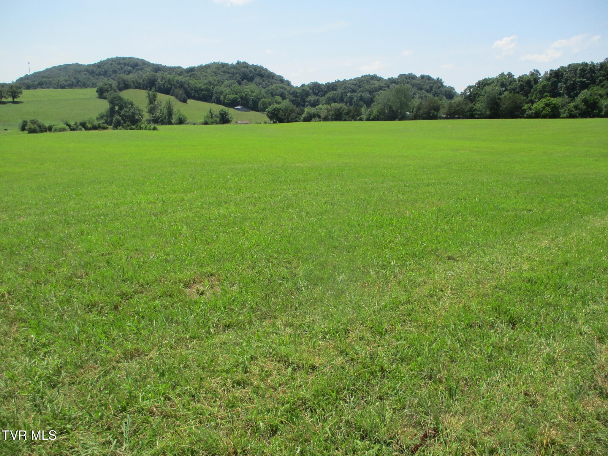 196 Providence Road Telford, TN 37690 - Photo 41 of 53 28 IMG_7617