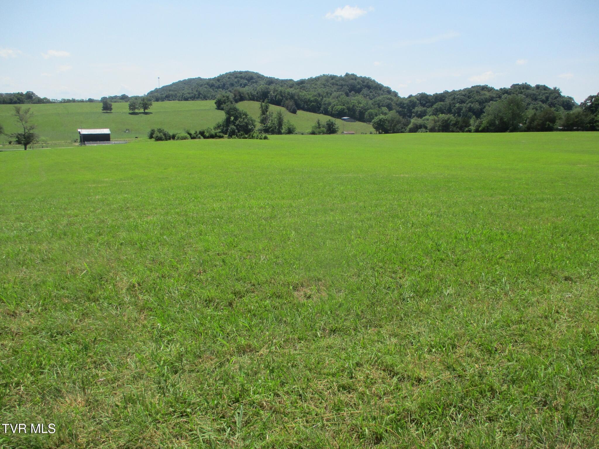 196 Providence Road Telford, TN 37690 - Photo 42 of 53 29 IMG_7616