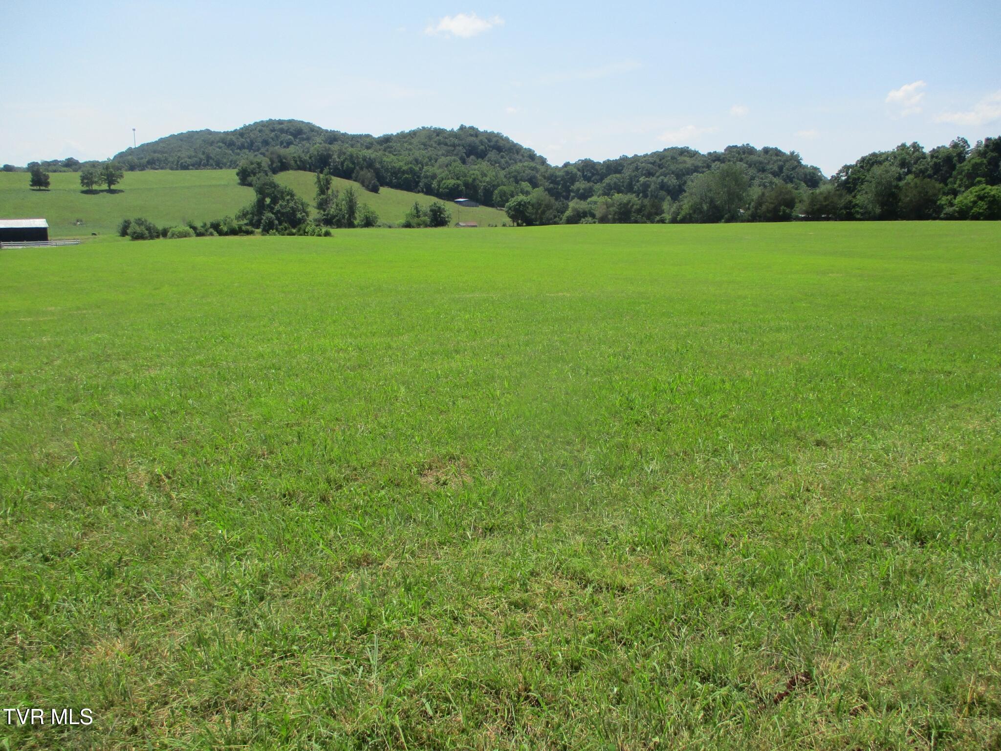 196 Providence Road Telford, TN 37690 - Photo 43 of 53 30 IMG_7615