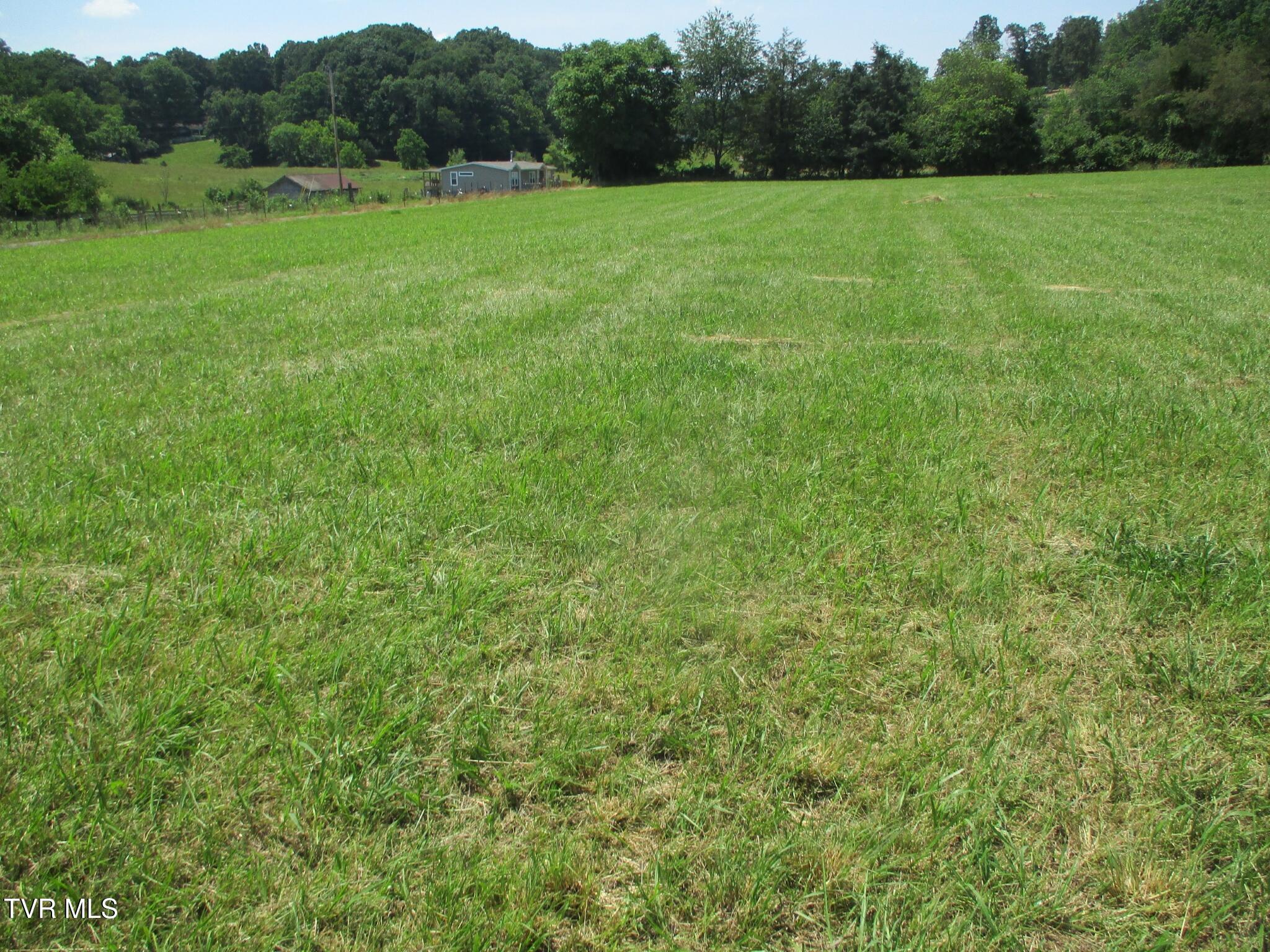 196 Providence Road Telford, TN 37690 - Photo 45 of 53 32 IMG_7641