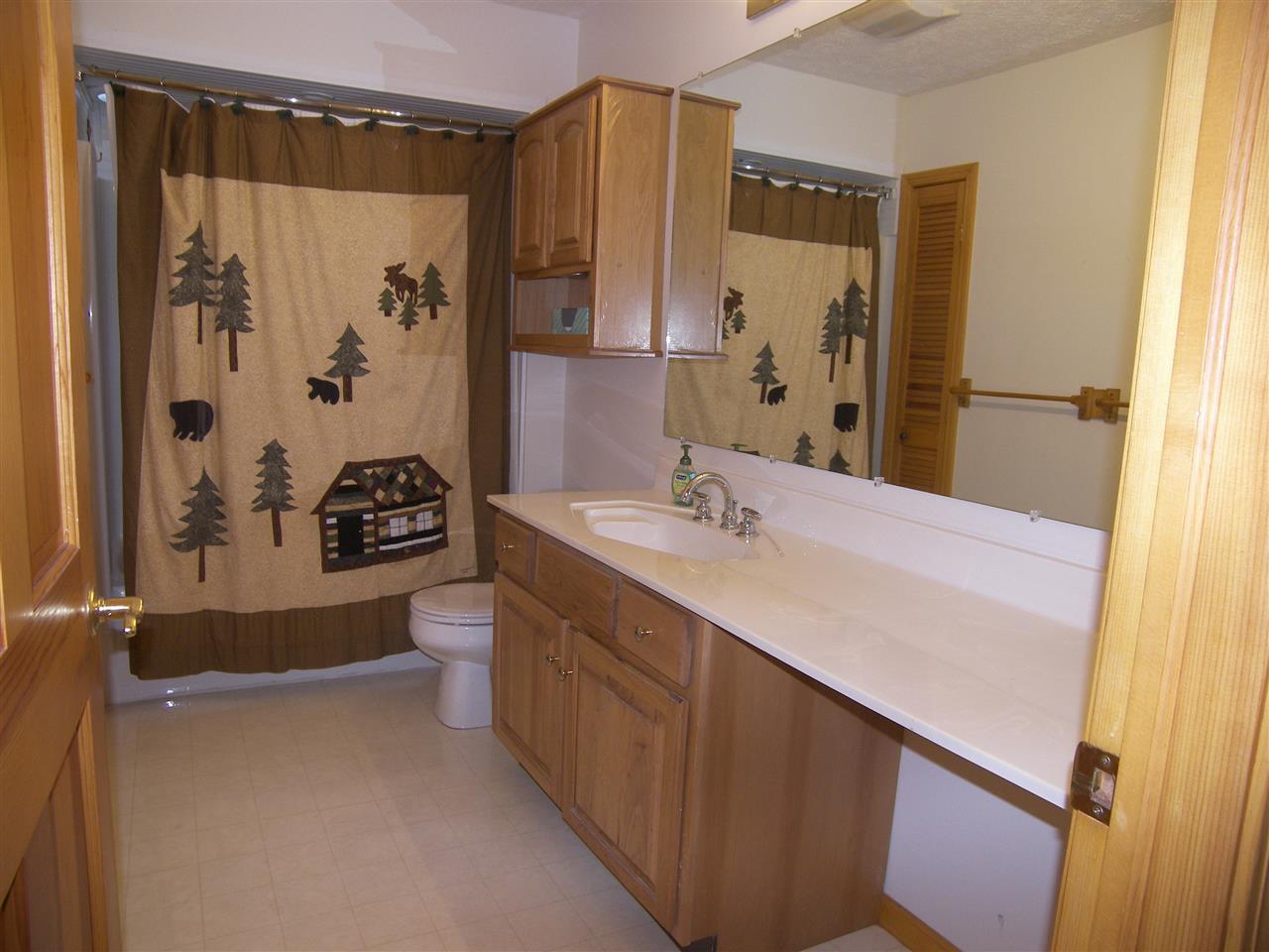 1102 West Hlavka Road Maple City, MI 49664 - Photo 29 of 49 1812586-28.JPG