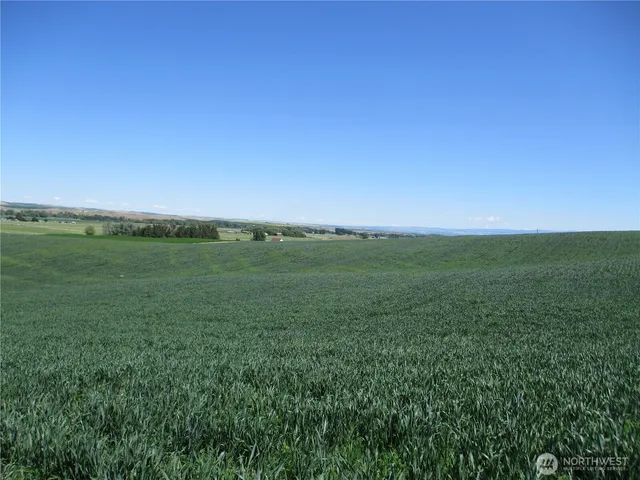 a view of a field with an ocean