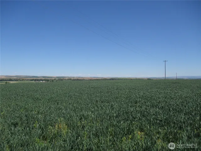 a view of a field with an ocean