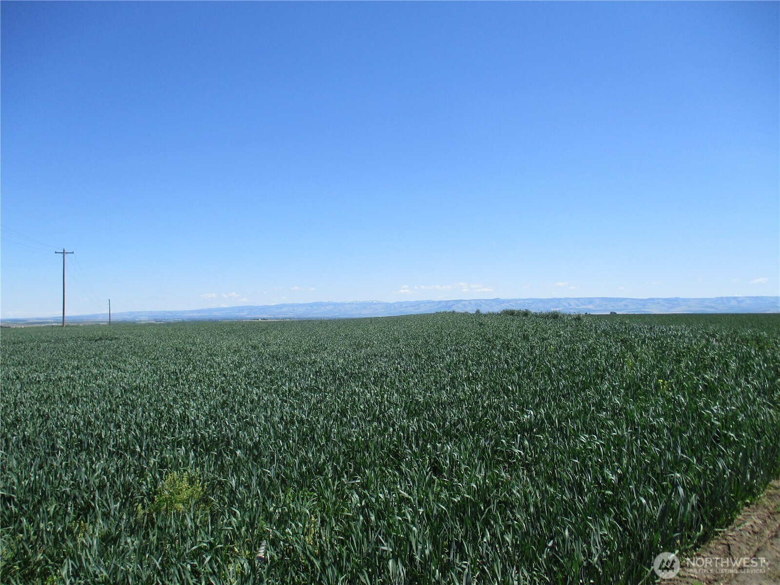 4285 Detour Road Touchet, WA 99360 - Photo 3 of 15 a view of a field with an ocean
