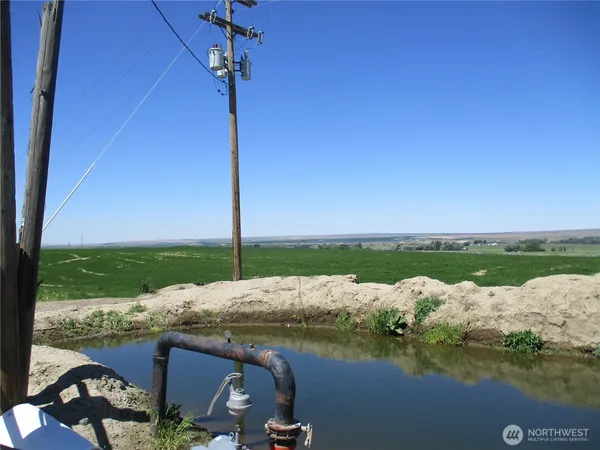 a view of a house with a yard potted plants and a table