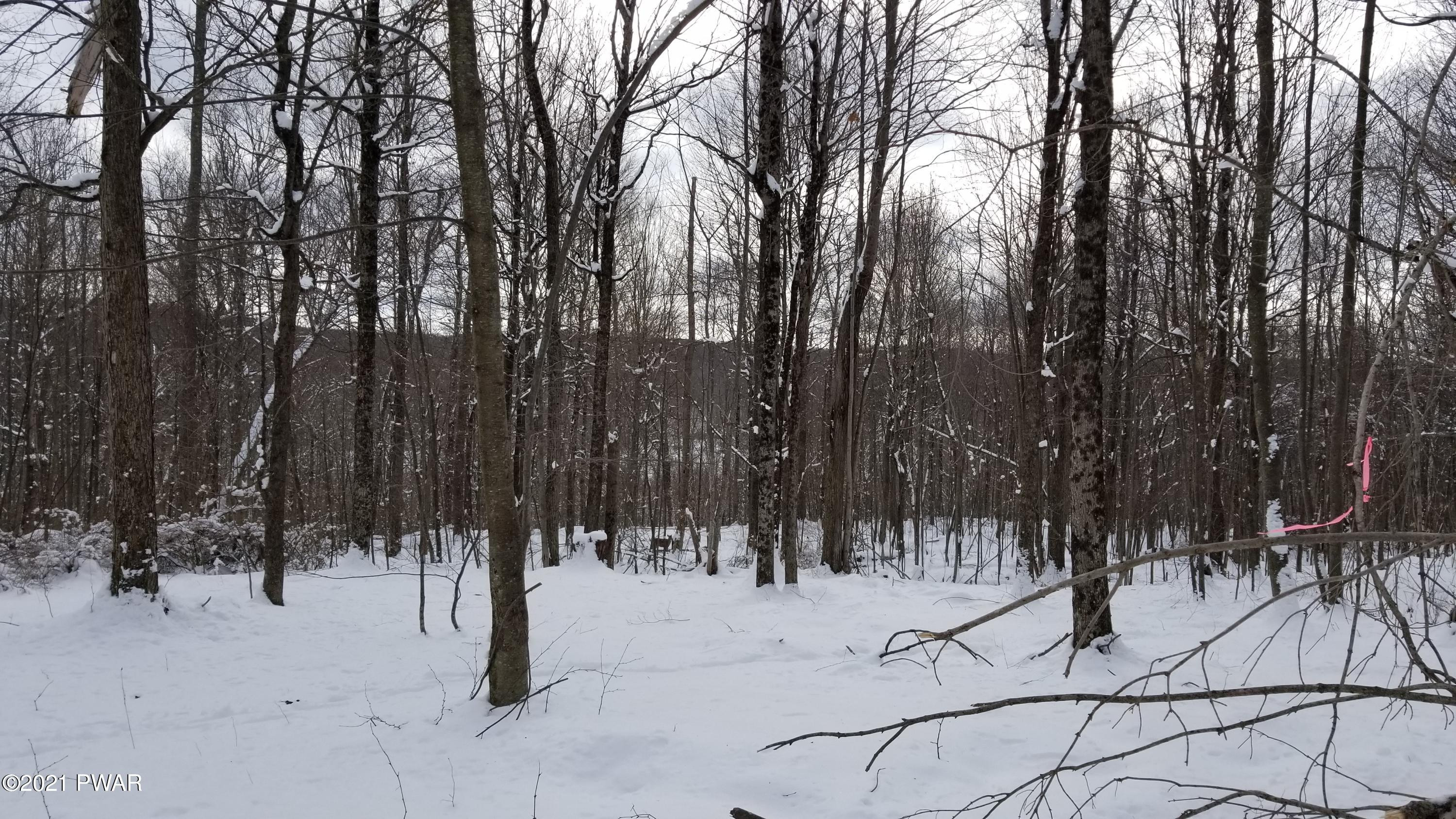 Lot 63 Old Woods Road Equinunk, PA 18417 - Photo 8 of 63