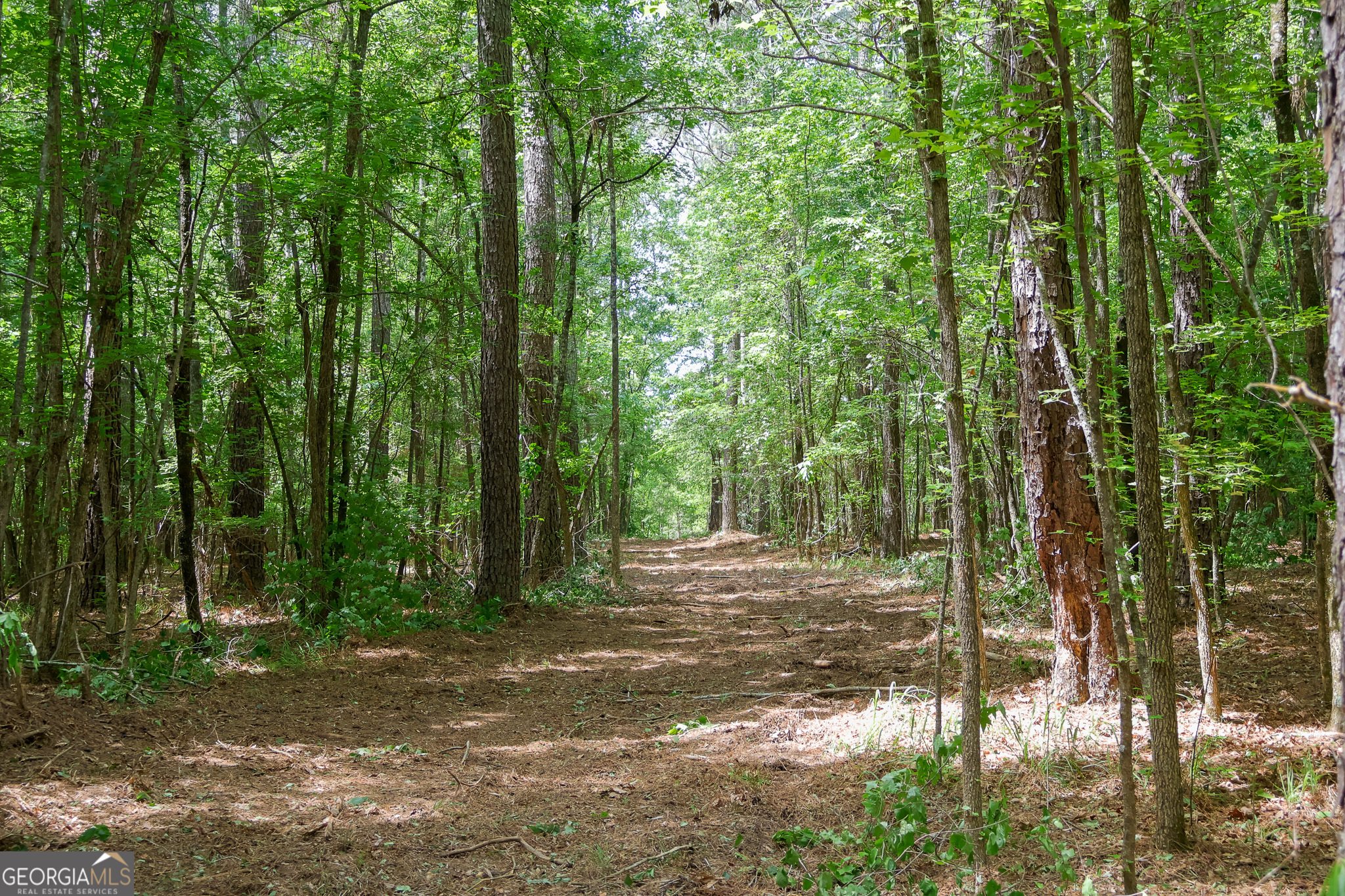 1 Marshall Road Buckhead, GA 30625 - Photo 19 of 32