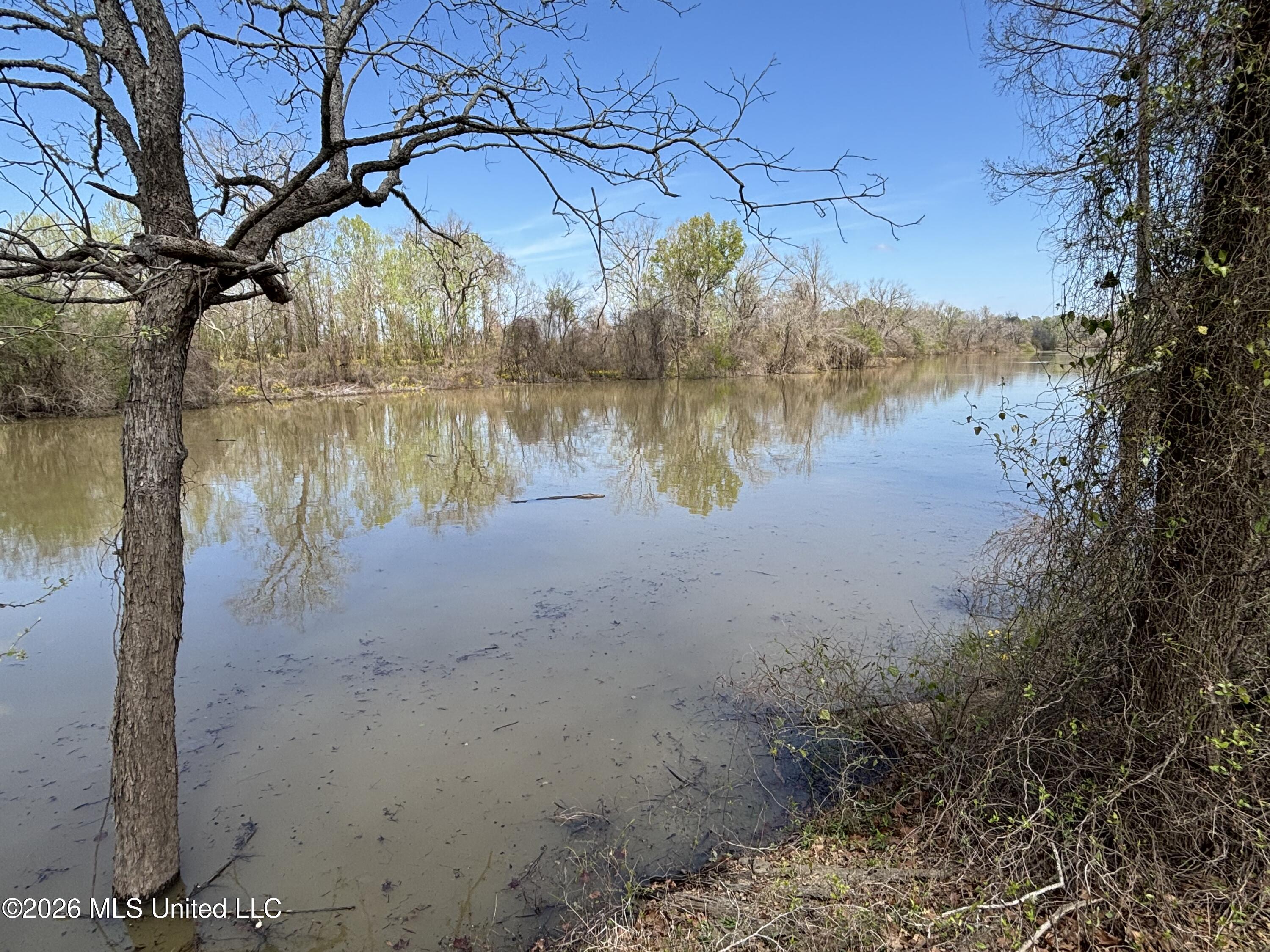 6243 Lake Mary Road Woodville, MS 39669 - Photo 21 of 30 IMG_2262