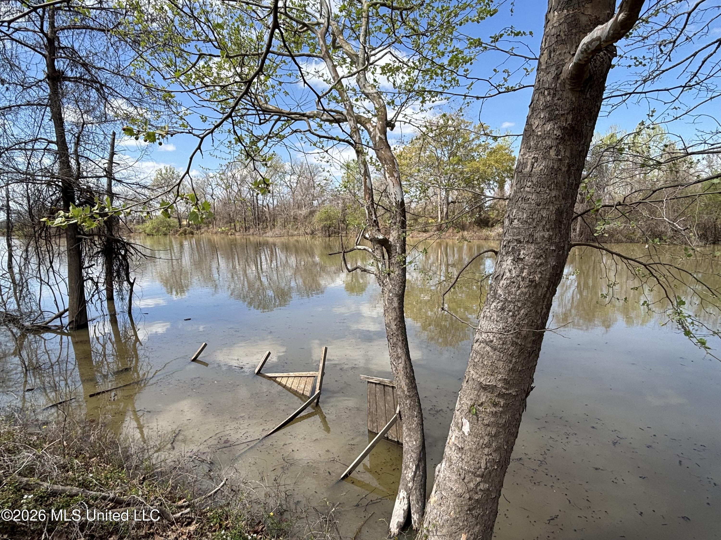 6243 Lake Mary Road Woodville, MS 39669 - Photo 22 of 30 IMG_2263