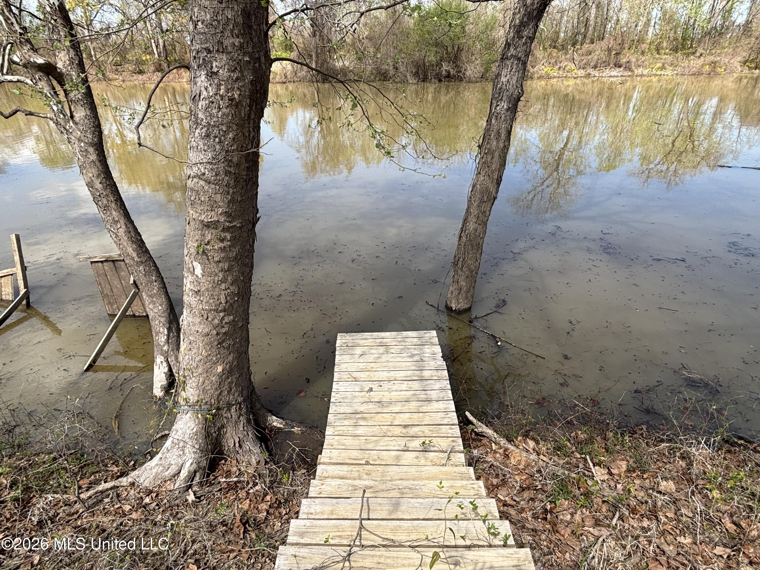 6243 Lake Mary Road Woodville, MS 39669 - Photo 23 of 30 IMG_2264