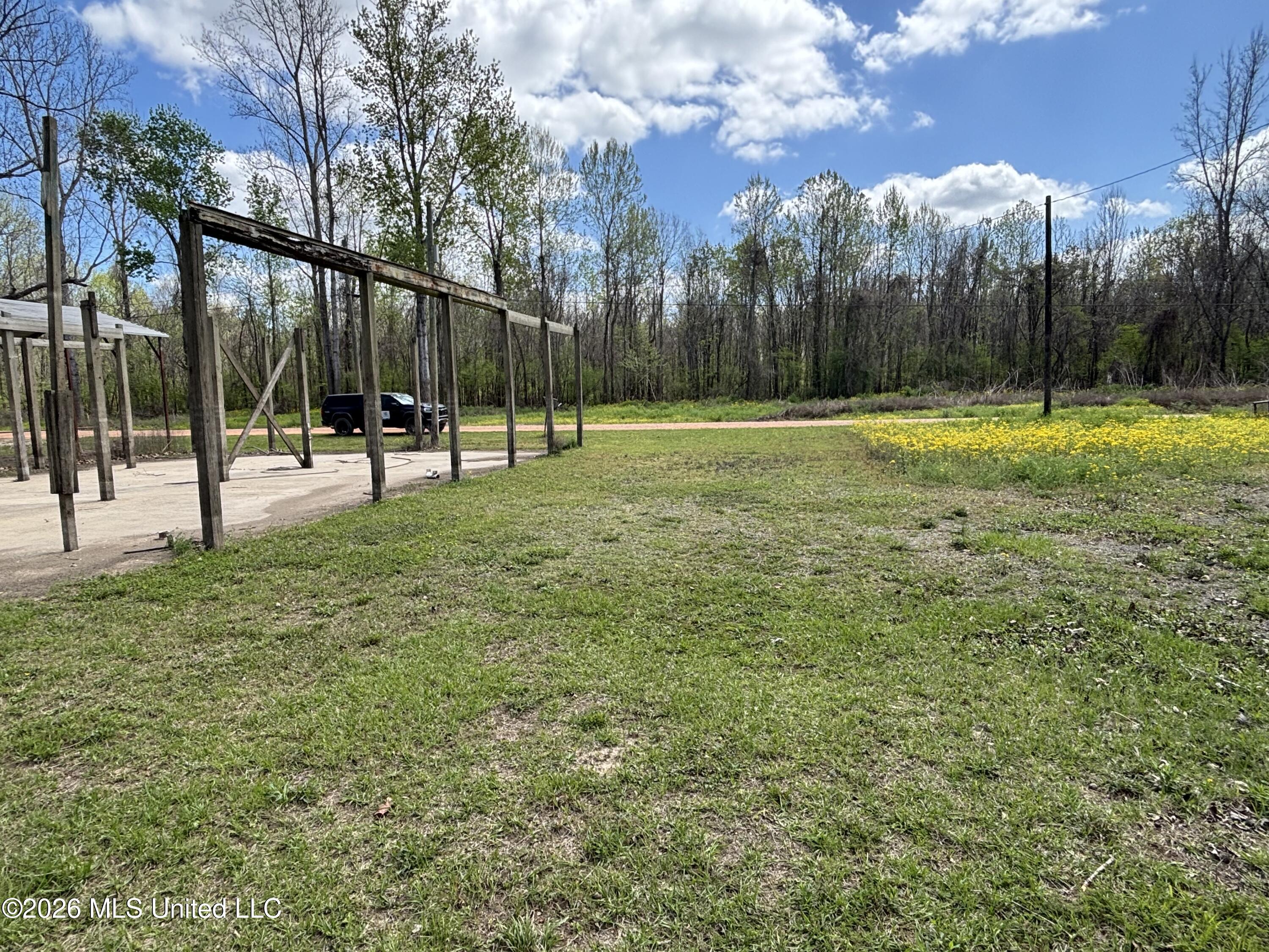 6243 Lake Mary Road Woodville, MS 39669 - Photo 10 of 30 IMG_2267