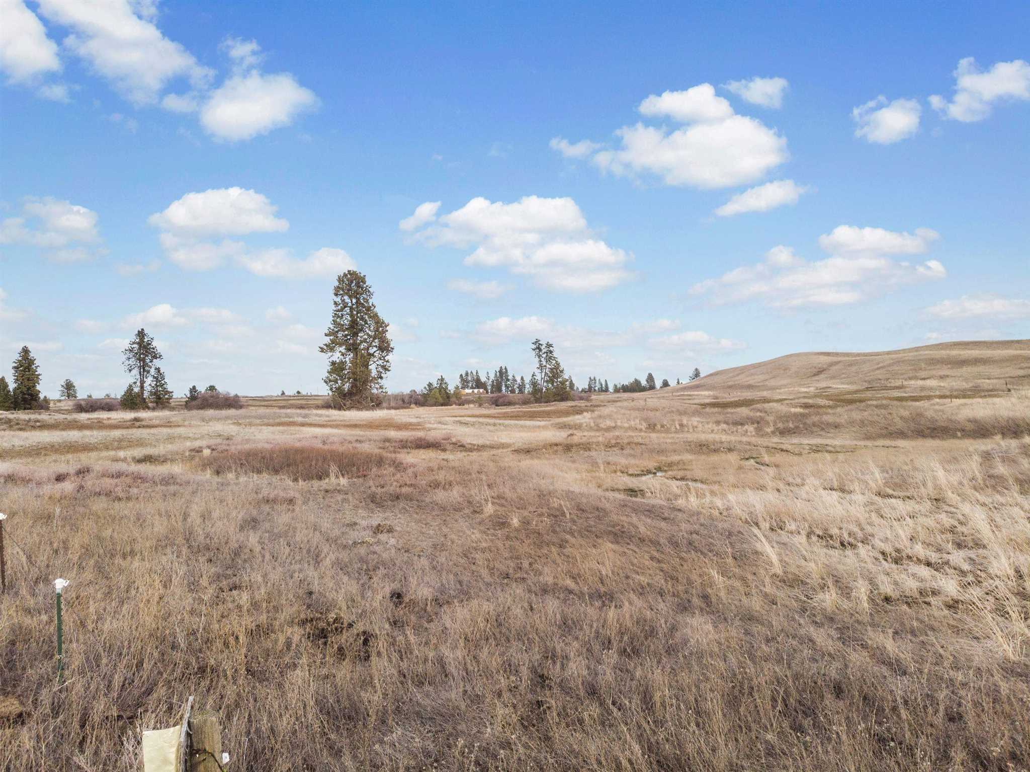 South Rock Lake Road Cheney, WA 99004 - Photo 5 of 9